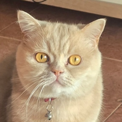 Eduardo
